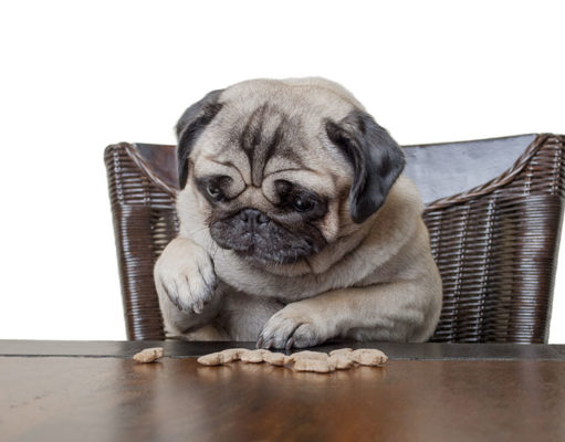 Homemade Low-Carb Dog Food Homemade Low-Carb Dog Food Featured