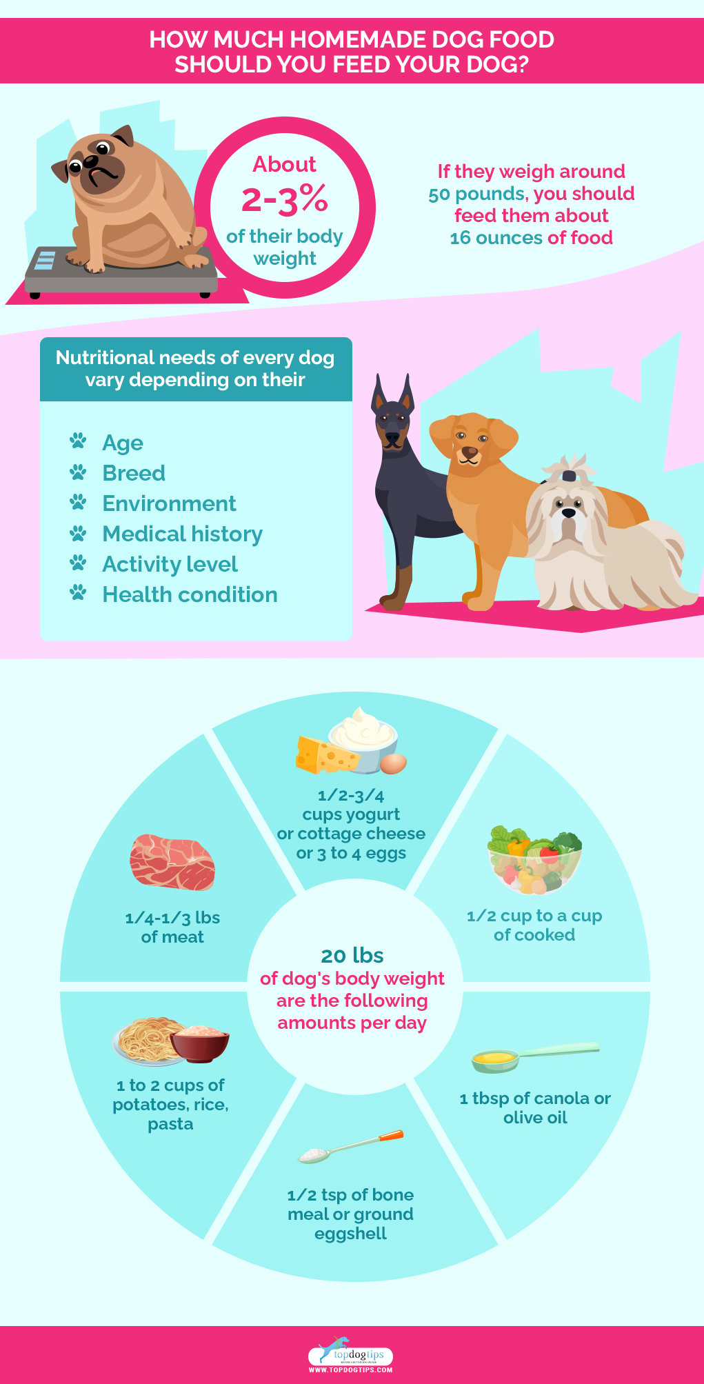 Homemade dog shop food serving size