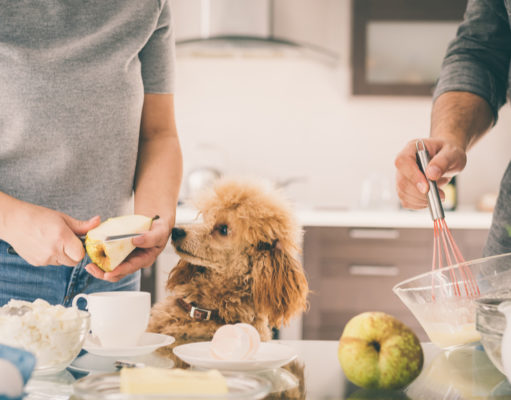 Ingredients in Homemade Dog Food – The Do’s and Don’ts Ingredients in Homemade Dog Food