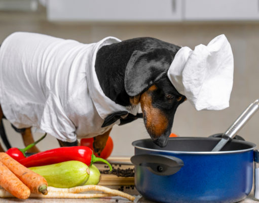 Instant Pot Dog Food Recipes You Can Easily Try At Home Instant Pot Dog Food Recipes You Can Easily Try At Home
