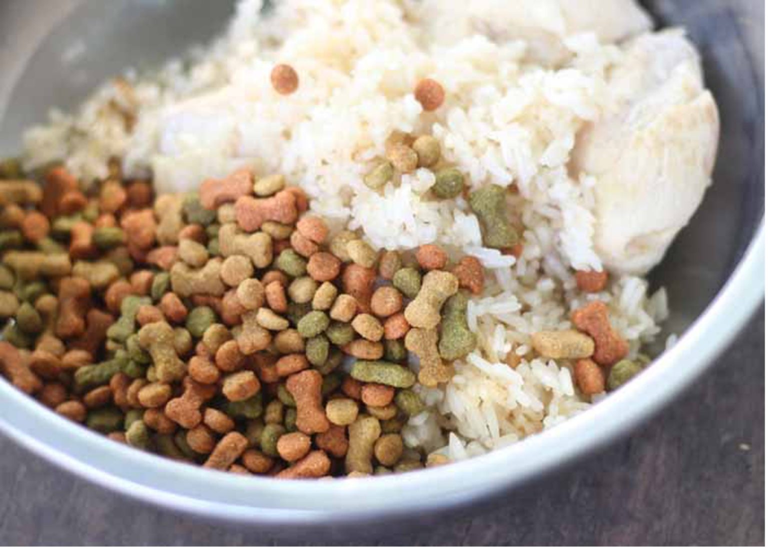 Homemade Dog Food The Complete Guide