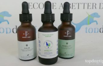 Giveaway: CBD Tinctures for Dogs ($120+ Value) CBD Tinctures for Dogs Giveaway