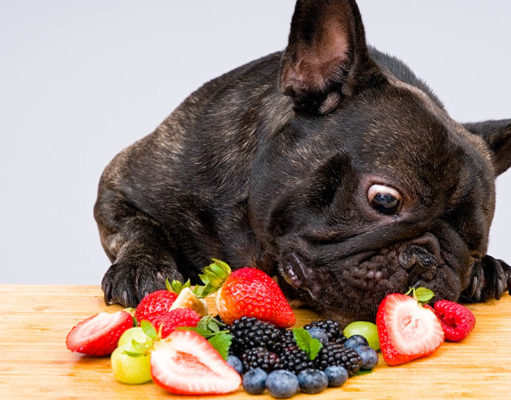 Fruits And Vegetables Dogs Can Eat Fruits and Vegetables dogs can eat