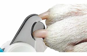 The Best Dog Nail Clippers with Sensor dog nail clippers with sensor featured image