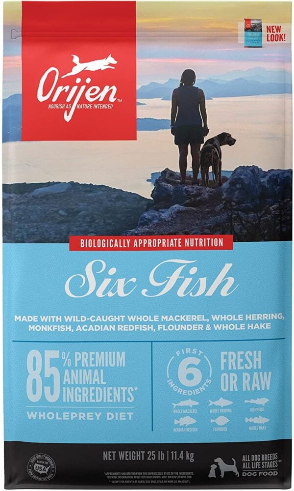 Picture of Best Dog Food for Rottweilers: 5 Vet Recommended Brands