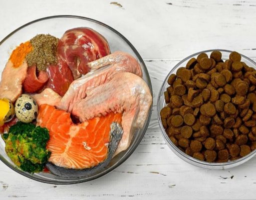 8 Best Human Foods for Dogs as Treats or Food Toppers Best Human Foods for Dogs