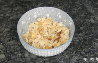 DIY Cat Food Recipe: Simple and Quick DIY Cat Food Recipe