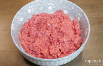 Recipe: Vegan Homemade Dog Food with Chickpeas Vegan Homemade Dog Food