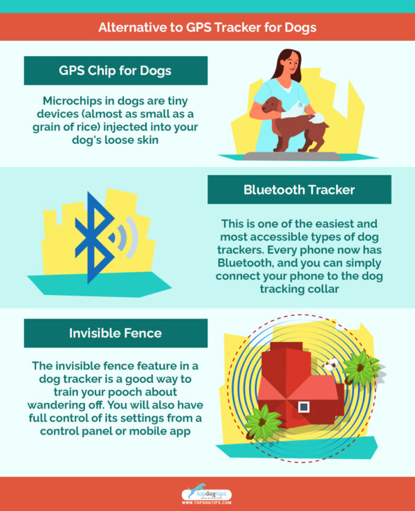 Top 11 GPS Tracker for Dogs in 2022 (Dog Tracker Review & Cost)