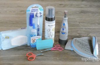 DIY Grooming Kit for Cats: How To Make One DIY Grooming Kit for Cats