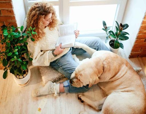 Best Dog Nutrition Book: A Great Resource for Any Dog Owner dog nutrition book