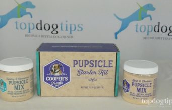 Review: Cooper’s Treats Pupsicle Starter Kit Cooper's Treats Pupsicle