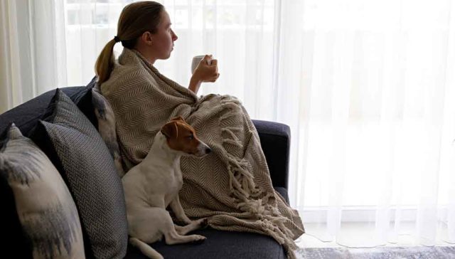 Are You Ready for an Emotional Support Animal