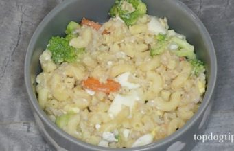 Recipe: Egg Based Food for Dogs with Liver Disease food for dogs with liver disease