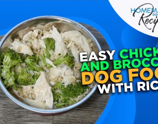 Recipe: Easy Chicken and Broccoli Dog Food with Rice Chicken and Broccoli Dog Food