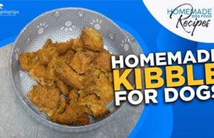 Recipe: Homemade Kibble for Dogs homemade kibble for dogs