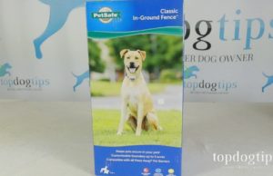 Giveaway: PetSafe In-Ground Electric Fence ($170+ Value)