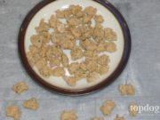 DIY Cat Treat Recipe with Sardines DIY Cat Treat Recipe with Sardines
