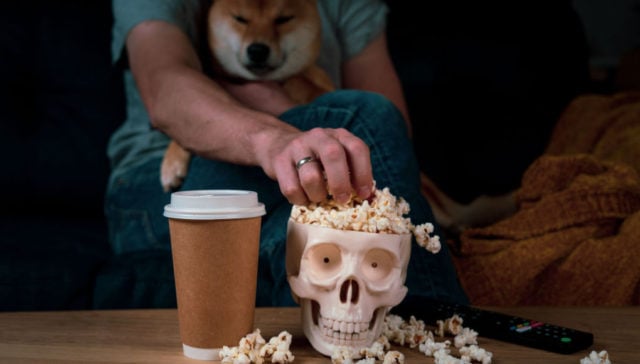 dogs in halloween movies featured-image
