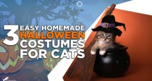 homemade halloween costumes for cats