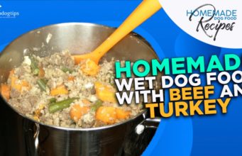 Recipe: Homemade Wet Dog Food with Beef & Turkey homemade wet dog food