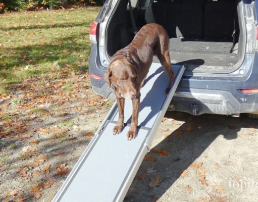 Review: PetSafe Telescoping Dog Ramp PetSafe Telescoping Pet Ramp