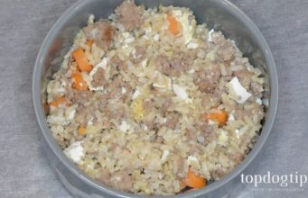 Recipe: Simple 5 Ingredient Homemade Dog Food Simple Homemade Dog Food Recipe