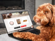 Top 17 Dog Food Delivery Services dog-food-delivery-featured-image