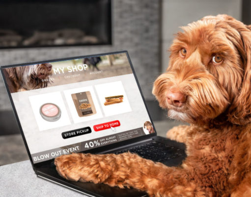 Top 17 Dog Food Delivery Services dog-food-delivery-featured-image