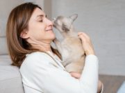 Why Does My Cat Lick Me? why does my cat lick me?