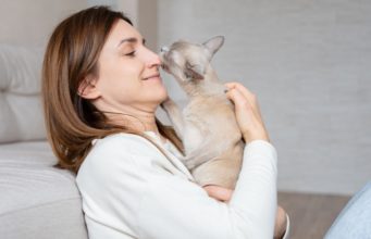 Why Does My Cat Lick Me? why does my cat lick me?