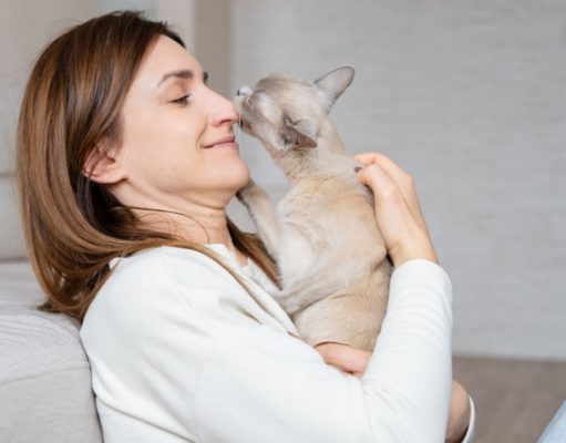 Why Does My Cat Lick Me? why does my cat lick me?