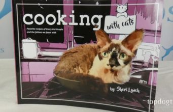 Review: Cooking with Cats by Sheri Lynch Cooking with Cats Book Review