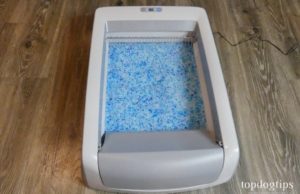 Review: PetSafe ScoopFree Self Cleaning Litterbox PetSafe Self Cleaning Litterbox