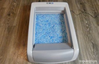 Review: PetSafe ScoopFree Self Cleaning Litterbox PetSafe Self Cleaning Litterbox