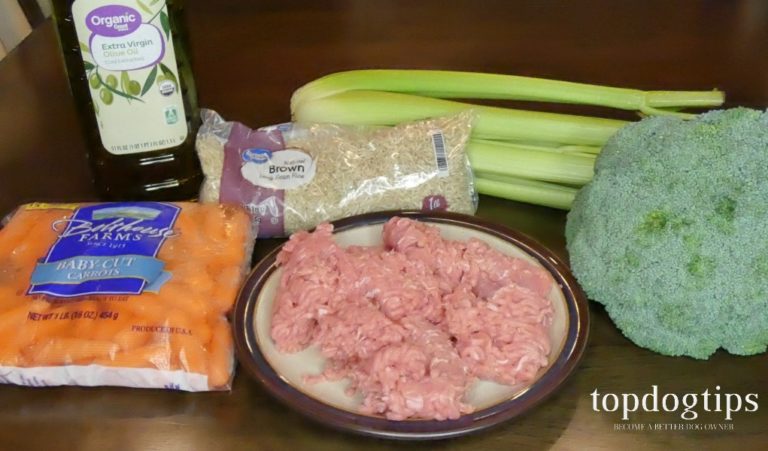 Recipe: Pressure Cooker Homemade Dog Food – Top Dog Tips