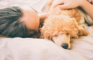 5 Benefits of Dogs Sleeping in Your Bed is imprinting real