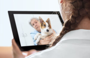 Telehealth for Pets: 24/7 Vet Guidance telehealth for pets