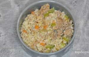 Thanksgiving Dinner for Dogs Recipe with Leftovers thanksgiving dinner for dogs recipe photo