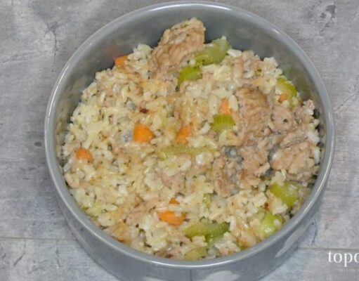 Thanksgiving Dinner for Dogs Recipe with Leftovers thanksgiving dinner for dogs recipe photo