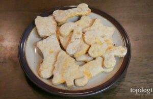 Recipe: Christmas Cookies for Dogs Christmas Cookies for Dogs