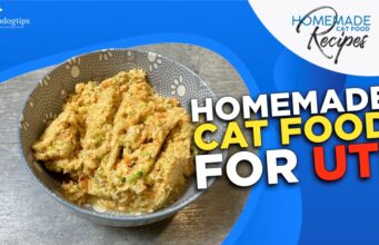 Recipe: Homemade Cat Food for UTI Homemade Cat Food for UTI