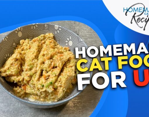 Recipe: Homemade Cat Food for UTI Homemade Cat Food for UTI
