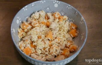 Recipe: Homemade Cat Food with Pork Homemade Cat Food with Pork