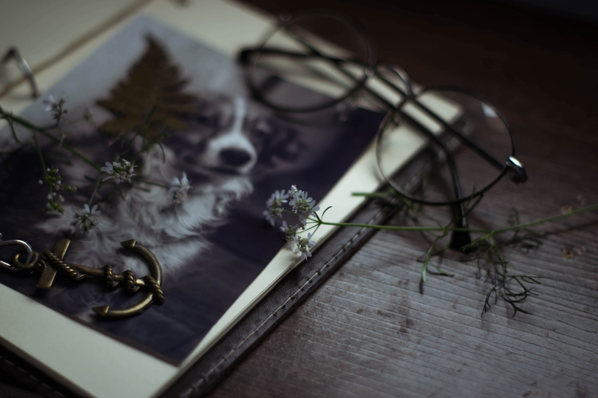 How To Help A Child Cope With Losing A Pet