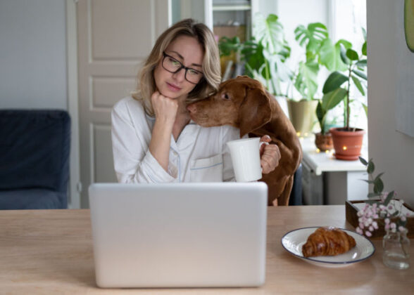 Curated visual reference: Dog Whining For Attention Why And How To Stop It Photo Inspiration