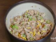 Easy Cat Food Recipe with Salmon easy cat food recipe