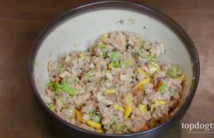 Easy Cat Food Recipe with Salmon easy cat food recipe