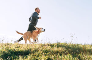 Sporting Dog Breeds sporting dog breeds