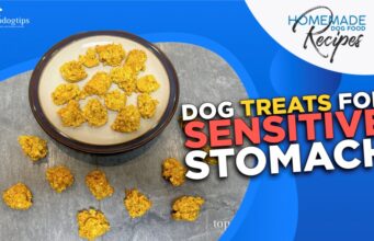 Recipe: Dog Treats for Sensitive Stomach Dog Treats for Sensitive Stomach